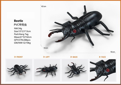 <img src='photo/Z/JZ095293.jpg'width='400' height='300'>