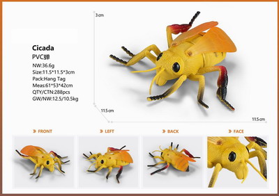 <img src='photo/Z/JZ095294.jpg'width='400' height='300'>