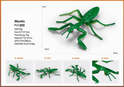 <img src='photo/Z/JZ095296.jpg'width='400' height='300'>