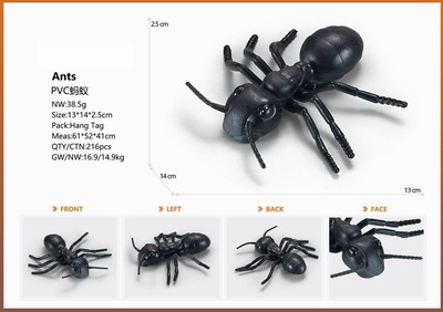 <img src='photo/Z/JZ095297.jpg'width='400' height='300'>