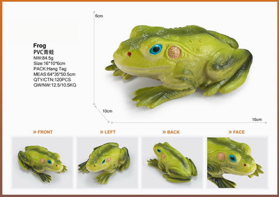 <img src='photo/Z/JZ095311.jpg'width='400' height='300'>