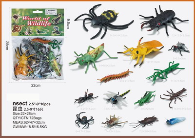 <img src='photo/Z/JZ095319.jpg'width='400' height='300'>