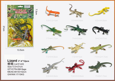 <img src='photo/Z/JZ095320.jpg'width='400' height='300'>