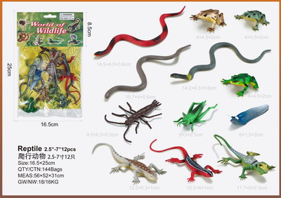 <img src='photo/Z/JZ095325.jpg'width='400' height='300'>