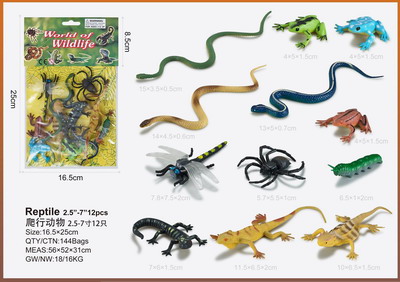 <img src='photo/Z/JZ095326.jpg'width='400' height='300'>