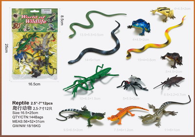 <img src='photo/Z/JZ095327.jpg'width='400' height='300'>