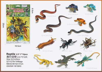 <img src='photo/Z/JZ095328.jpg'width='400' height='300'>