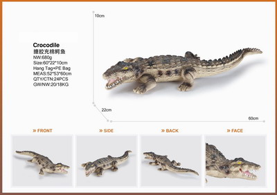 <img src='photo/Z/JZ095335.jpg'width='400' height='300'>