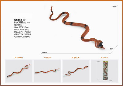 <img src='photo/Z/JZ095346.jpg'width='400' height='300'>