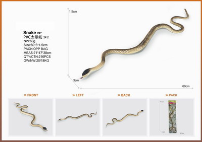 <img src='photo/Z/JZ095347.jpg'width='400' height='300'>