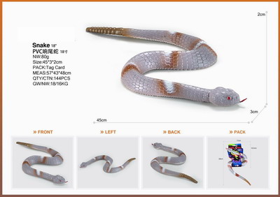 <img src='photo/Z/JZ095349.jpg'width='400' height='300'>