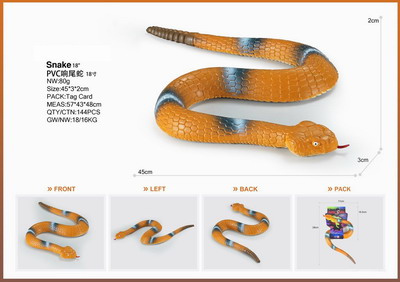 <img src='photo/Z/JZ095350.jpg'width='400' height='300'>