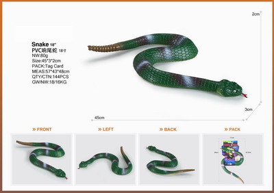 <img src='photo/Z/JZ095351.jpg'width='400' height='300'>