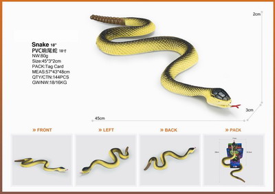 <img src='photo/Z/JZ095352.jpg'width='400' height='300'>