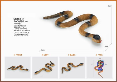 <img src='photo/Z/JZ095353.jpg'width='400' height='300'>