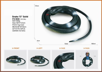 <img src='photo/Z/JZ095355.jpg'width='400' height='300'>