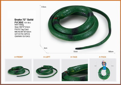 <img src='photo/Z/JZ095356.jpg'width='400' height='300'>