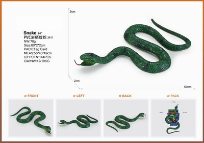 <img src='photo/Z/JZ095358.jpg'width='400' height='300'>