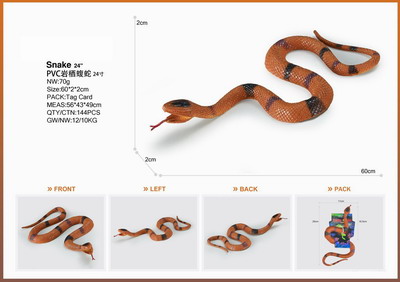 <img src='photo/Z/JZ095360.jpg'width='400' height='300'>