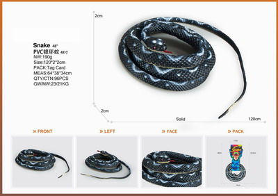 <img src='photo/Z/JZ095361.jpg'width='400' height='300'>