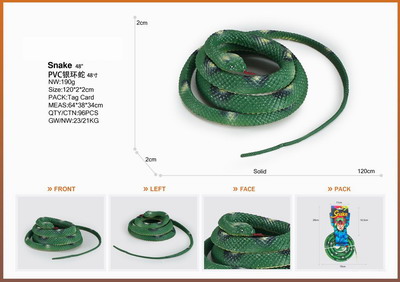 <img src='photo/Z/JZ095362.jpg'width='400' height='300'>