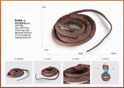 <img src='photo/Z/JZ095363.jpg'width='400' height='300'>