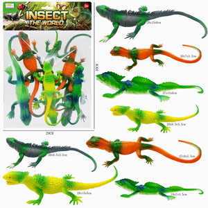 <img src='photo/Z/JZ095638.jpg'width='400' height='300'>