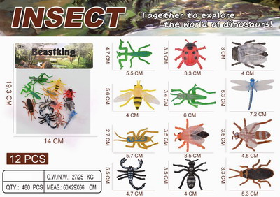 <img src='photo/Z/JZ099494.jpg'width='400' height='300'>