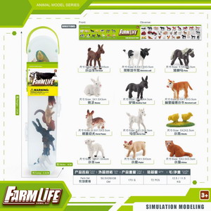 <img src='photo/Z/JZ101229.jpg'width='400' height='300'>