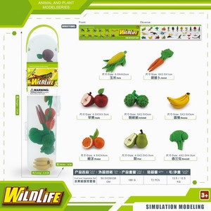 <img src='photo/Z/JZ101239.jpg'width='400' height='300'>