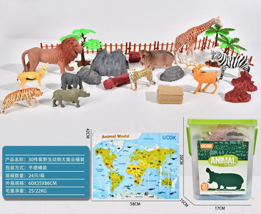 <img src='photo/Z/JZ101376.jpg'width='400' height='300'>