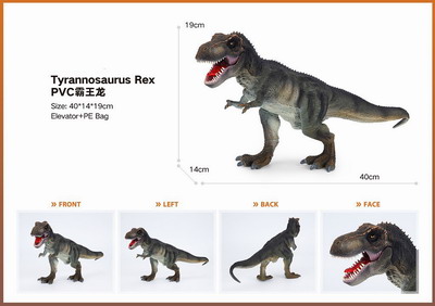 <img src='photo/Z/JZ101417.jpg'width='400' height='300'>