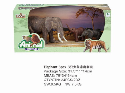 <img src='photo/Z/JZ101539.jpg'width='400' height='300'>