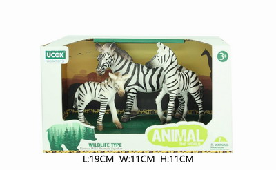 <img src='photo/Z/JZ101550.jpg'width='400' height='300'>