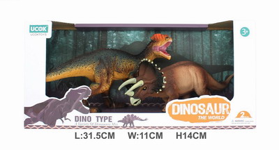 <img src='photo/Z/JZ101556.jpg'width='400' height='300'>