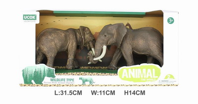 <img src='photo/Z/JZ101568.jpg'width='400' height='300'>