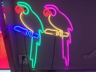 <img src='photo/Z/JZ102647.jpg'width='400' height='300'>