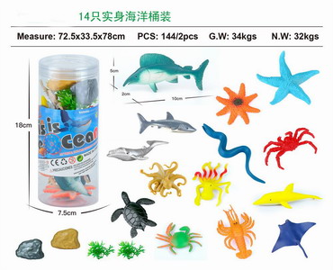 <img src='photo/Z/JZ103549.jpg'width='400' height='300'>