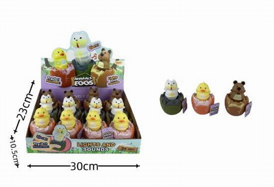 <img src='photo/Z/JZ103724.jpg'width='400' height='300'>