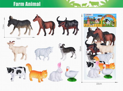 <img src='photo/Z/JZ103793.jpg'width='400' height='300'>