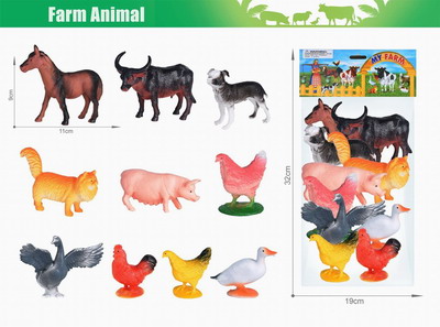 <img src='photo/Z/JZ103794.jpg'width='400' height='300'>