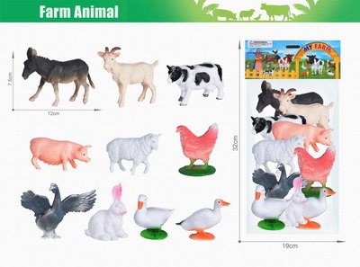 <img src='photo/Z/JZ103795.jpg'width='400' height='300'>