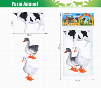 <img src='photo/Z/JZ103798.jpg'width='400' height='300'>