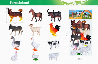 <img src='photo/Z/JZ103820.jpg'width='400' height='300'>