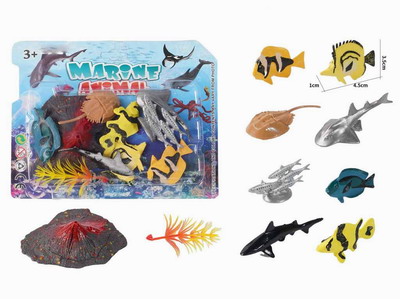 <img src='photo/Z/JZ104478.jpg'width='400' height='300'>