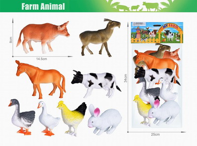 <img src='photo/Z/JZ104901.jpg'width='400' height='300'>