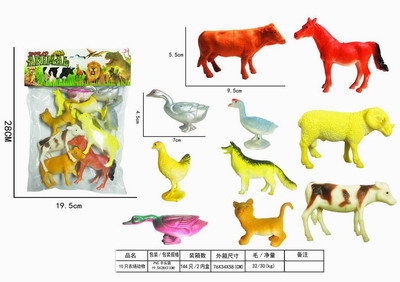 <img src='photo/Z/JZ109186.jpg'width='400' height='300'>