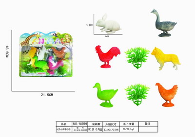 <img src='photo/Z/JZ109197.jpg'width='400' height='300'>