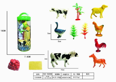 <img src='photo/Z/JZ109209.jpg'width='400' height='300'>