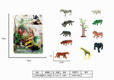 <img src='photo/Z/JZ109233.jpg'width='400' height='300'>